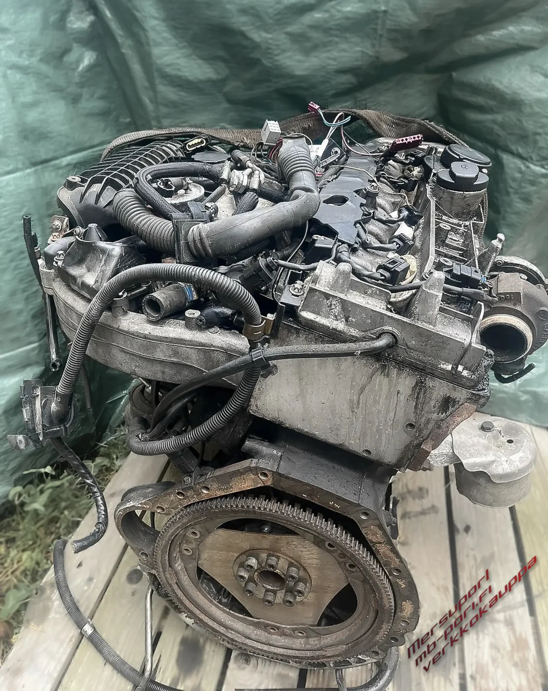 3WhatsApp Image 2025-06-04 at 11.55.46