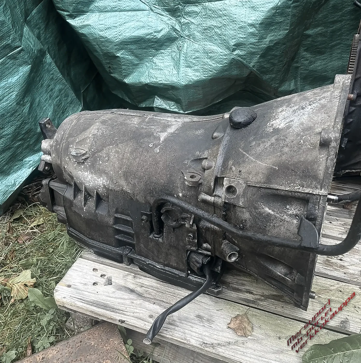 3WhatsApp Image 2025-06-04 at 11.55.48