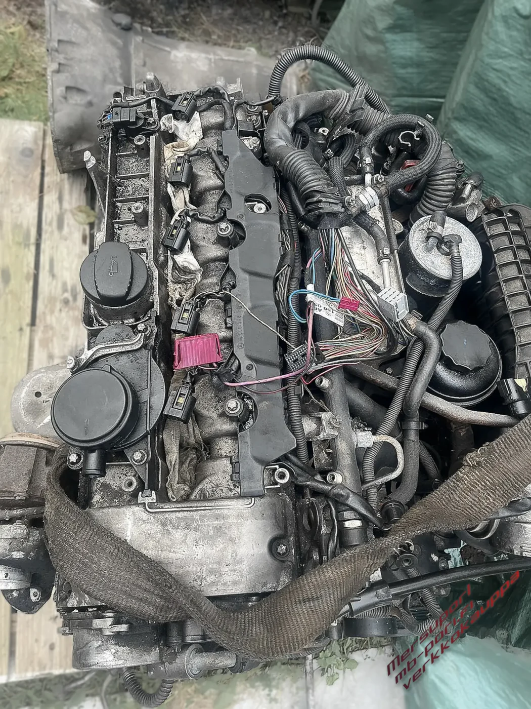 6WhatsApp Image 2025-06-04 at 11.55.47