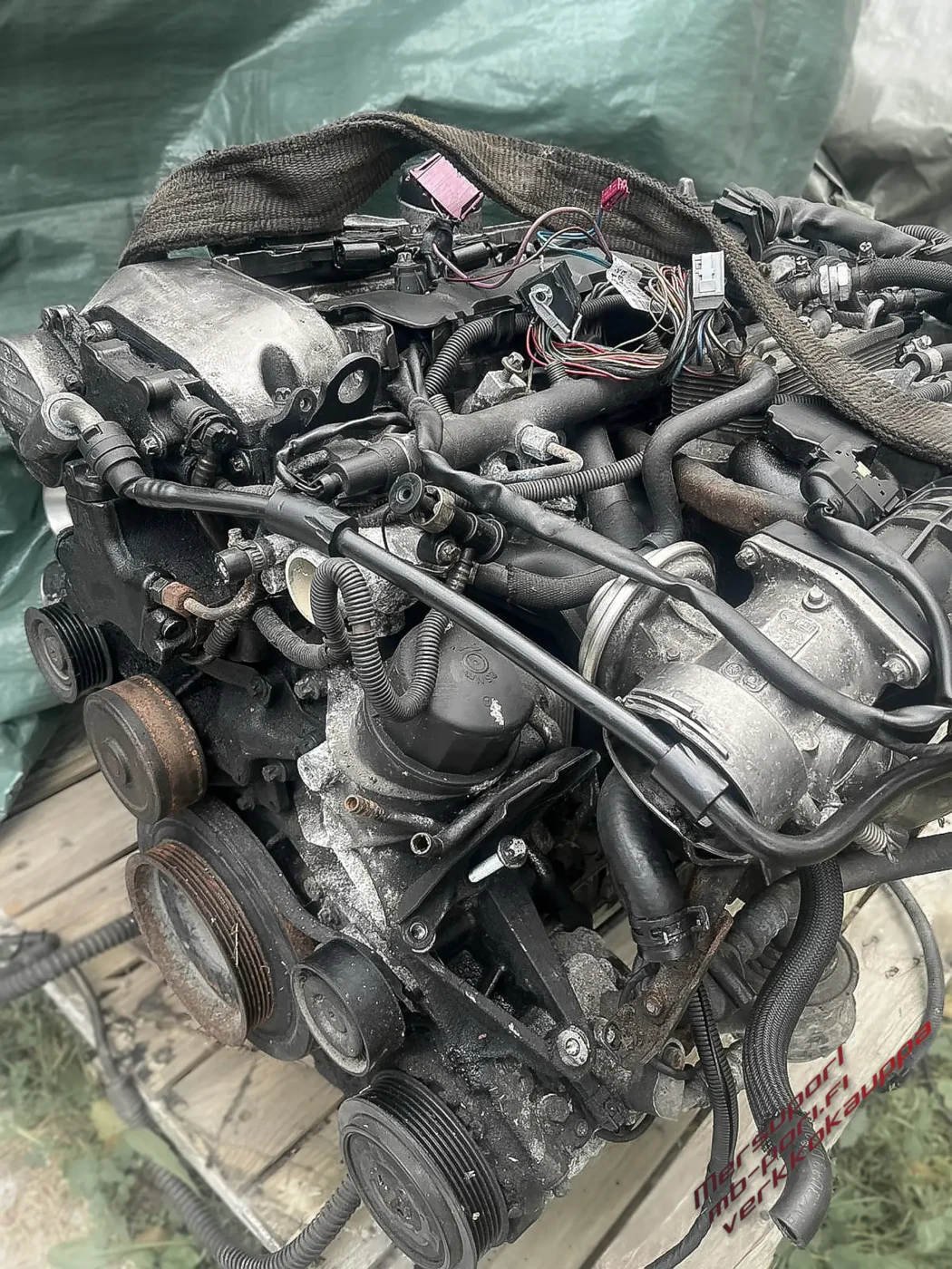 WhatsApp Image 2025-06-04 at 11.55.46-2