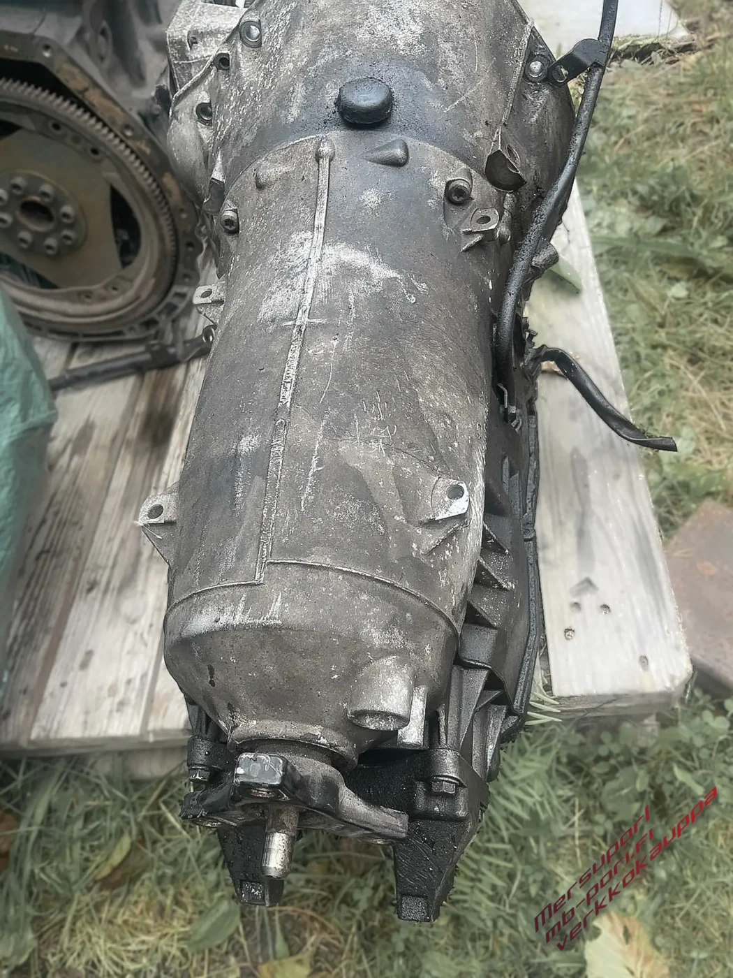 WhatsApp Image 2025-06-04 at 11.55.47